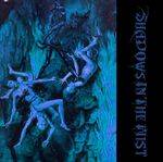 Destruction From Within : Shadows In The Mist